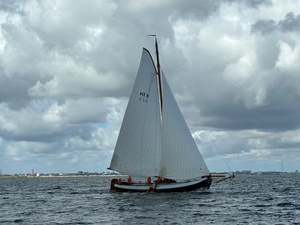 haring26-simmer haring26-simmer